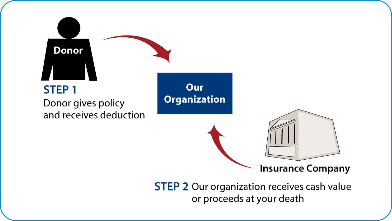 Life Insurance Policy Thumbnail